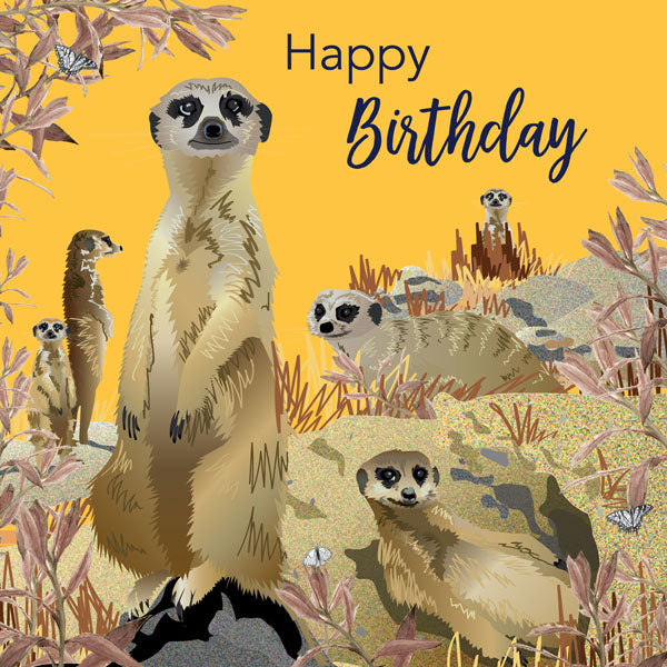Meerkat Greeting Card