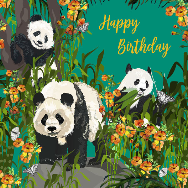Panda Greeting Card