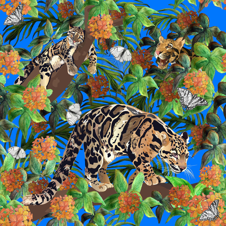 Clouded Leopard Pattern collection