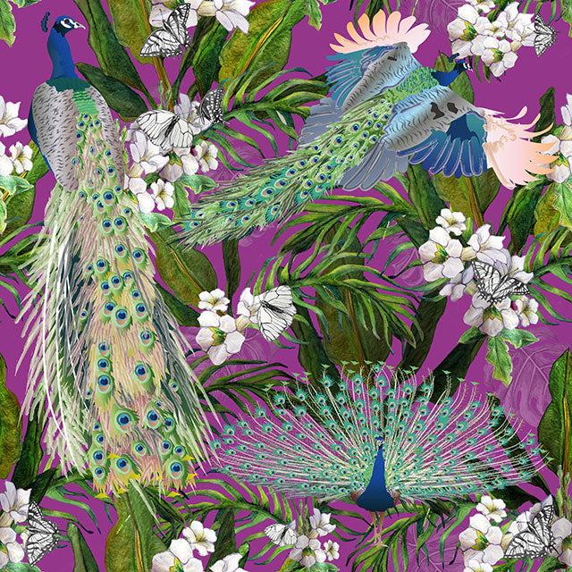 Peacock Pattern Collection