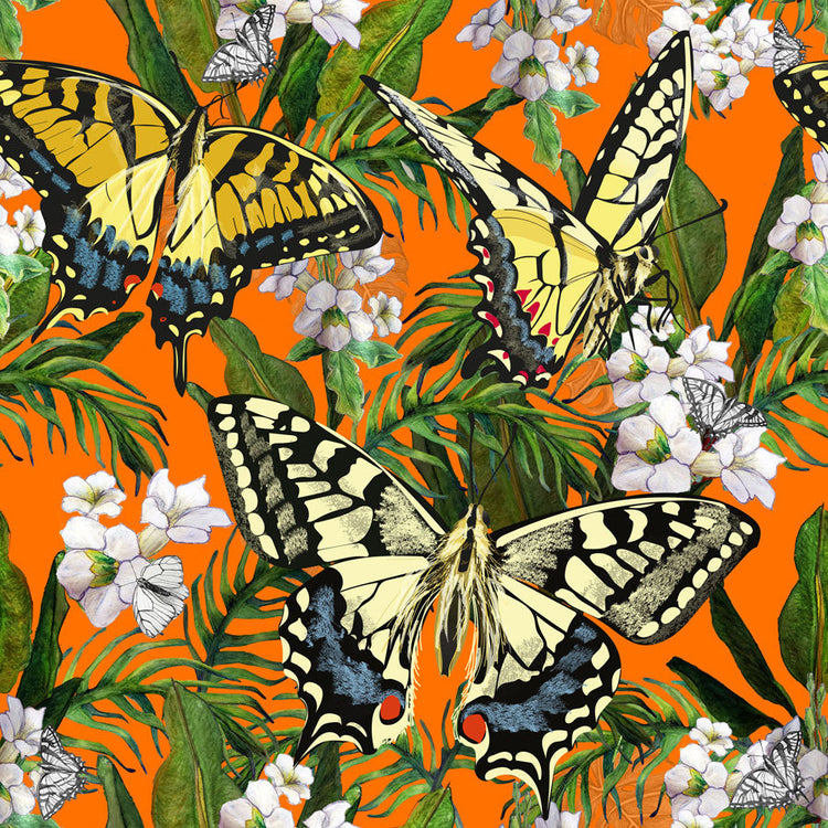 Butterflies and Bees