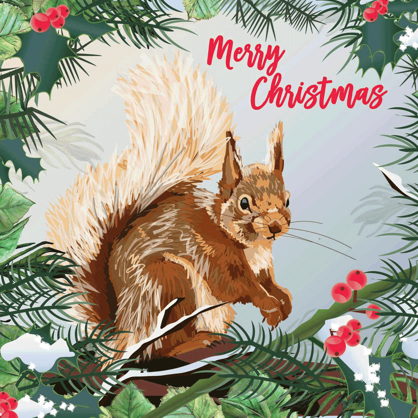 Red Squirrel Christmas Card