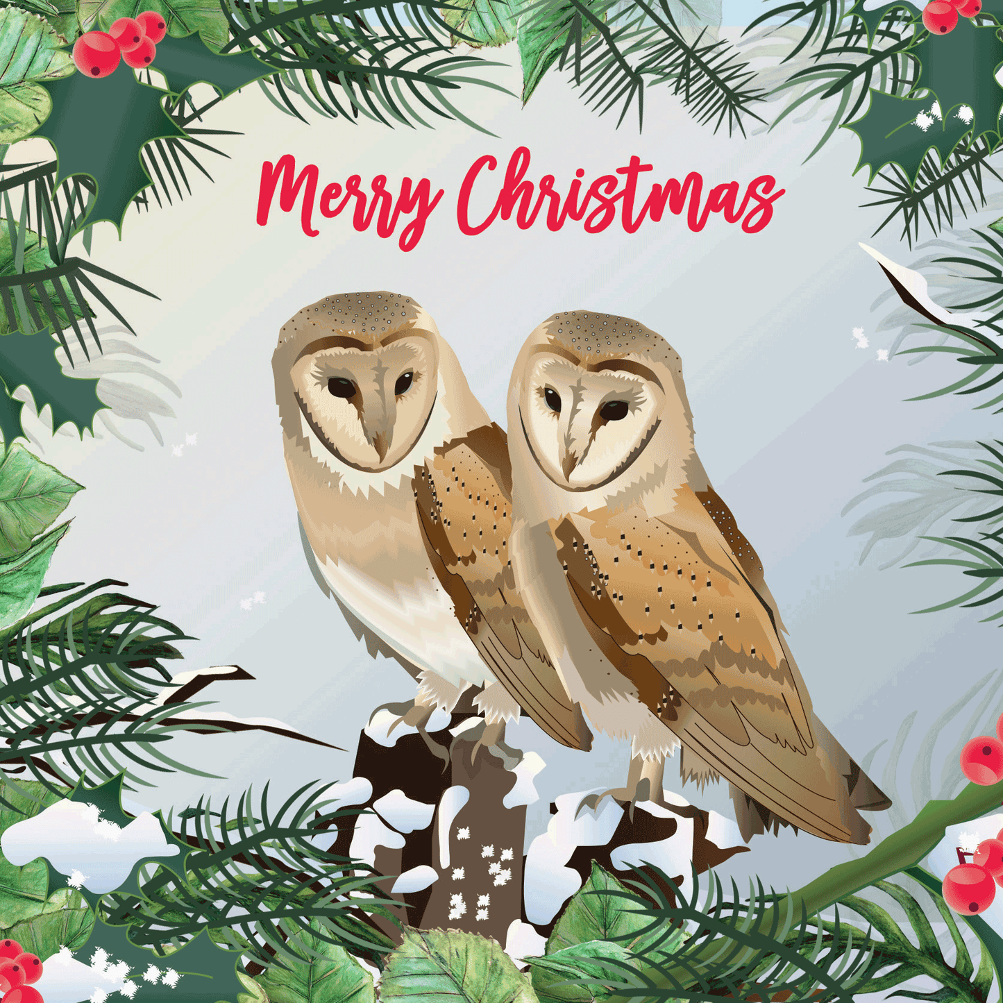 Barn Owl Christmas Card