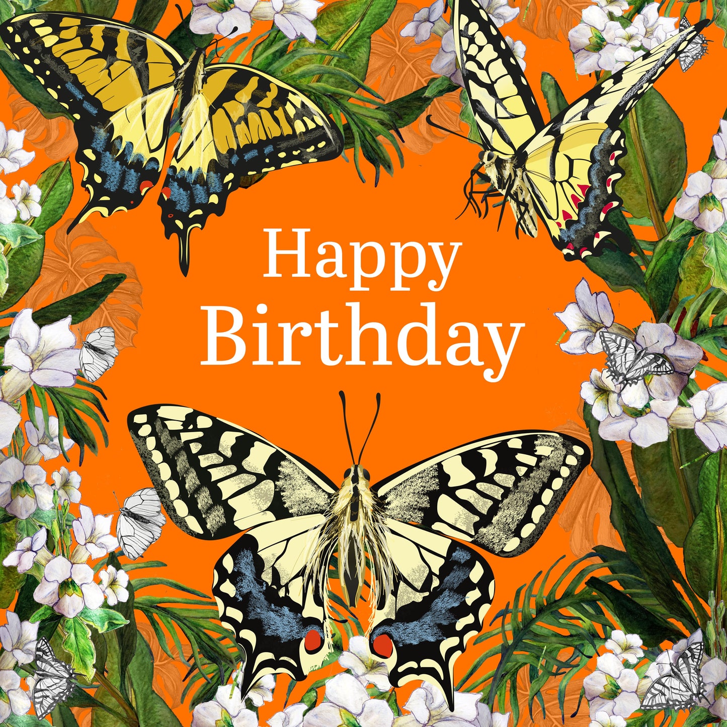 Butterfly Greeting Card