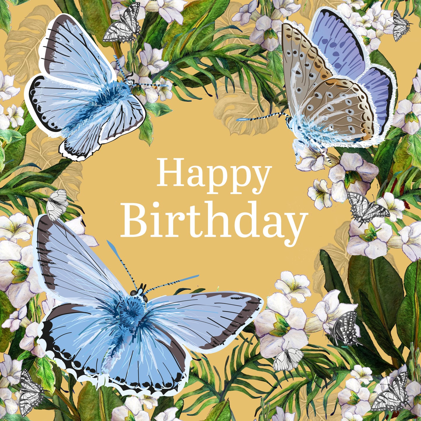 Chalkhill Butterfly Greeting Card